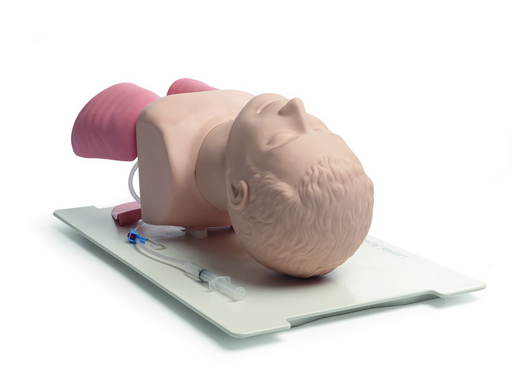 Airway Management Trainer - Laerdal 25000033