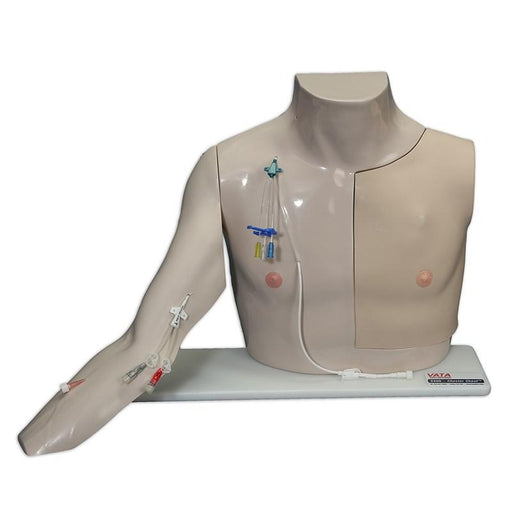 Chester Chest Std Arm - Light Skin - Laerdal VT-2400-STD