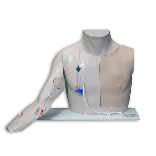 Chester Chest Adv Arm - Light Skin - Laerdal VT-2400-ADV