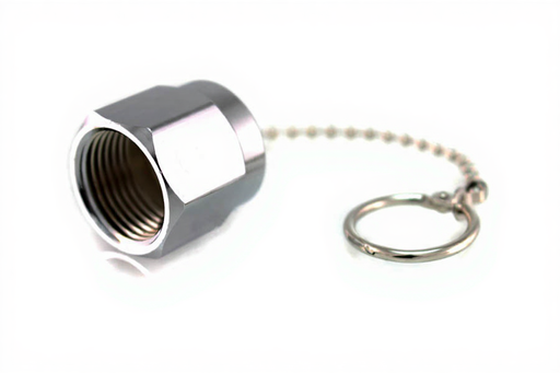 DISS Cap & Chain Assembly, I-Air/WAGD - Bay Corp 2000CP