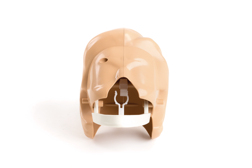 Little Anne Head Assembly Complete - Laerdal 20920