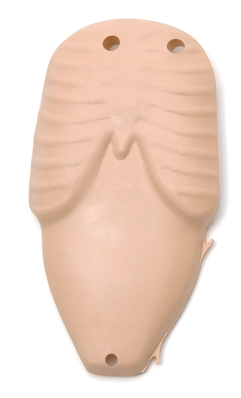 Chest Plate ASL Baby - Laerdal 82010