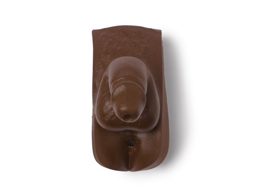 Gen; Male-Adlt Male Brown (Nursing Kelly) - Laerdal 300-03850B