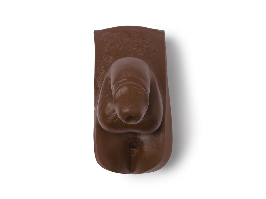 Gen; Male-Adlt Male Brown (Nursing Kelly) - Laerdal 300-03850B