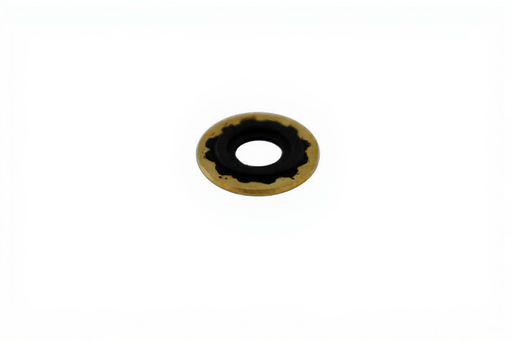Fluorocarbon Washer w/ Brass Ring for Yoke Assembly (10pcs/pk) - Bay Corp RW-2