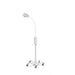 GS-300 General Exam Light with Mobile Stand DOM - Welch Allyn 44400 - 1