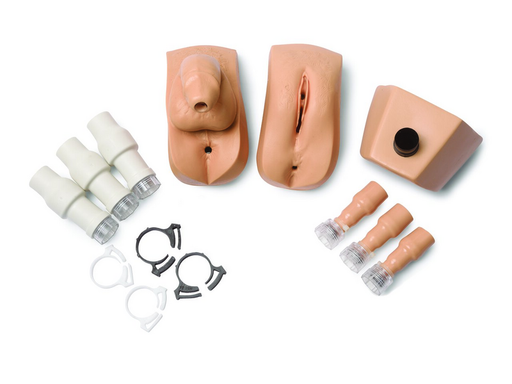 Kit; Genitalia Mc Kelly - Laerdal 200-03650