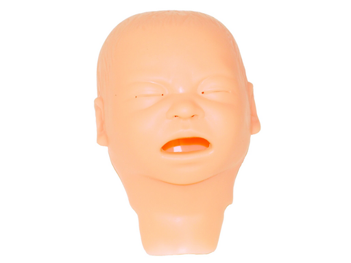 Skin; Face SNB - Laerdal 220-00850