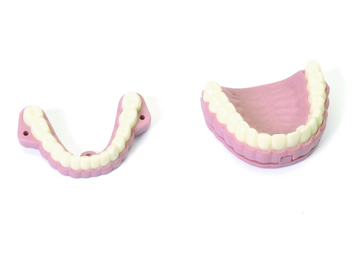 Teeth ridges & audio - Laerdal 252010