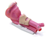 Airway demonstration - Laerdal 252500 - 1