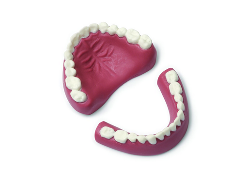 Dentures-Upper/Lower - Laerdal 300-00950