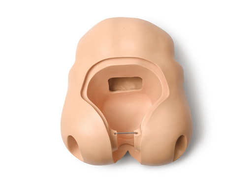 Pelvis; AMH-No Brdge-STD - Laerdal 300-01450