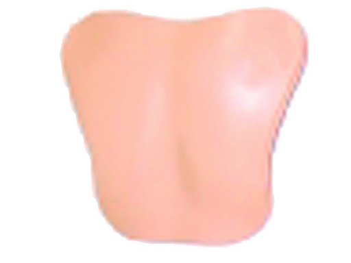 Chestplt; AM-Hosp-STD - Laerdal 300-10250
