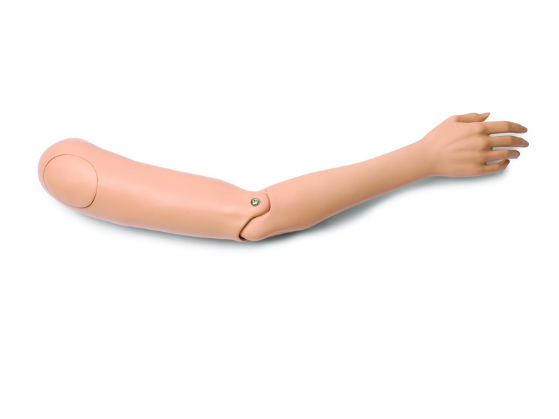 Arm; Rt-Adlt Female-STD - Laerdal 325-01450