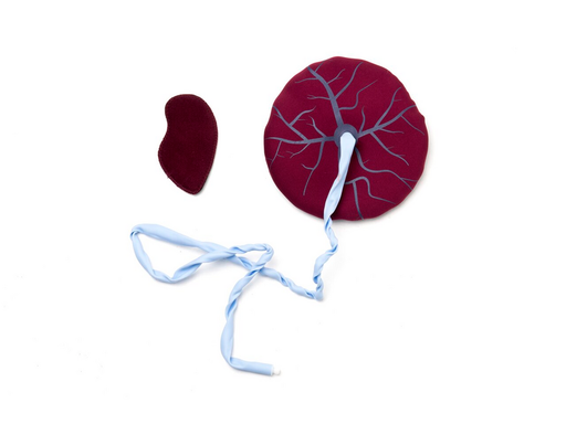 Mamanatalie Placenta Kit - Laerdal 340-17033
