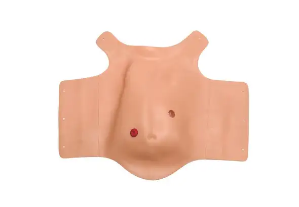 Assy; Chest Skin Nbaby - Laerdal 365-01650