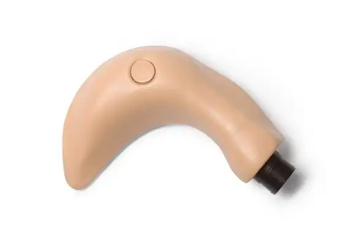 Fundus Urinary Bladder - Laerdal 375-22750