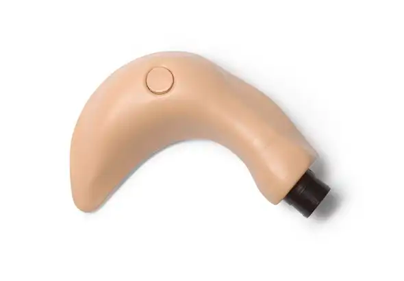 Fundus Urinary Bladder - Laerdal 375-22750