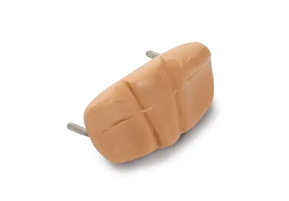 Symphisis Pubic; Fundus Nsg Anne - Laerdal 375-23050