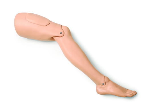Leg; Right Adult-STD - Laerdal 380650
