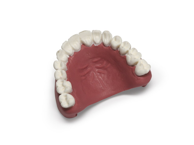 Teeth; Upper-Simman-Sof - Laerdal 381107