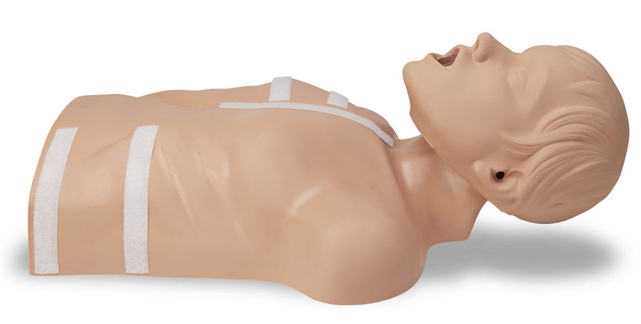 Zoll CPR-D Demo Manikin (NEW)