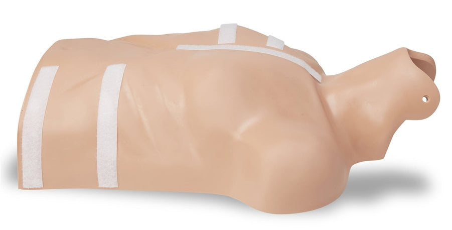 Zoll CPR-D Demo Manikin (NEW)