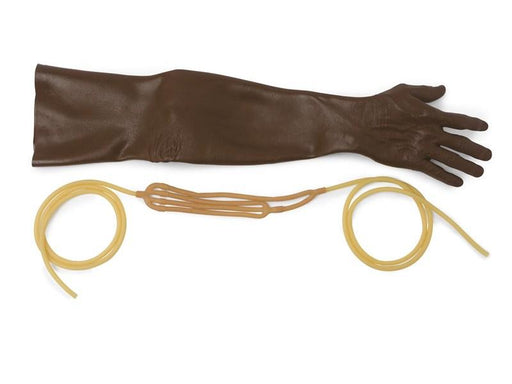 Skin/Vein; Mv Arm AM BRN - Laerdal 312029B