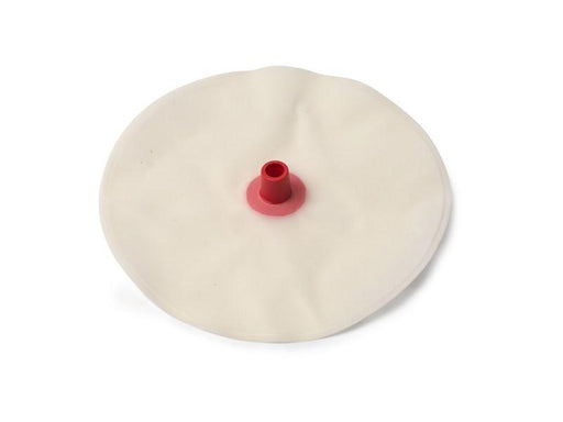 Bladder; Stomach Ausc - Laerdal 380484