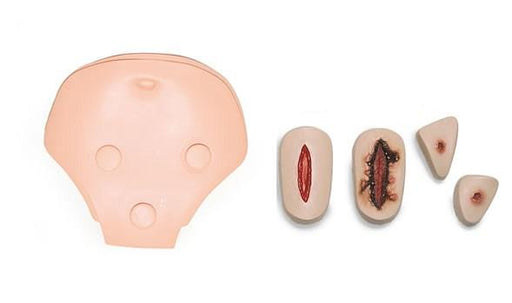 Wnds; In-Serv Hlthcr Fm - Laerdal 375-21350