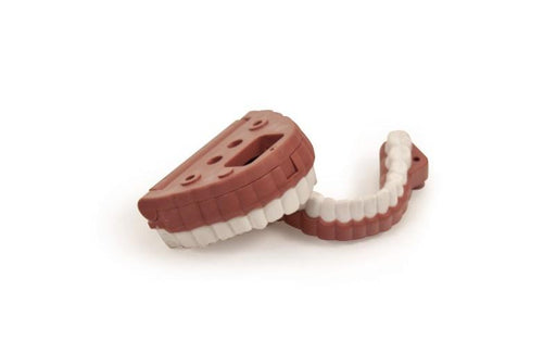 Teeth set RA Simulator - Laerdal 150-11450