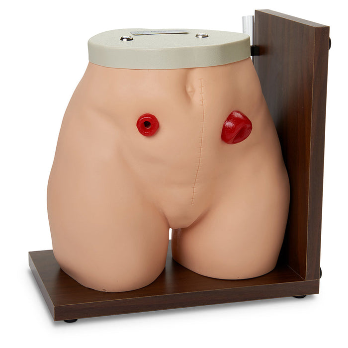 Ostomy Care Simulator - Nasco LF00906