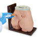 Ostomy Care Simulator - Nasco LF00906 - 4
