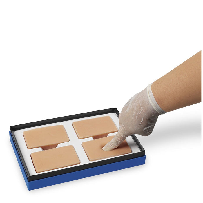 Trainer Pittng EDema 4Stag - Nasco LF00947