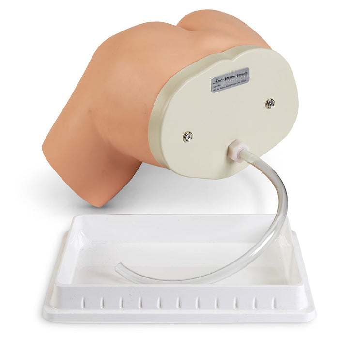 Enema Simulator - Nasco LF00957