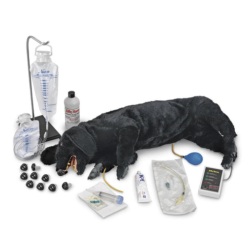 Dog CPR Advanced Sanitary - Nasco LF01155