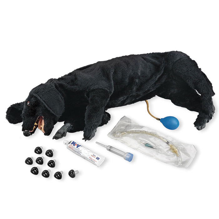 Dog CPR Basic Sanitary - Nasco LF01156