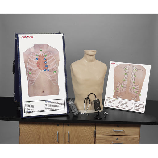 Deluxe Ausculation Station - Nasco LF01200