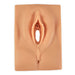 ExTrnal Genital Pad Light - Nasco LF01230 A - 1