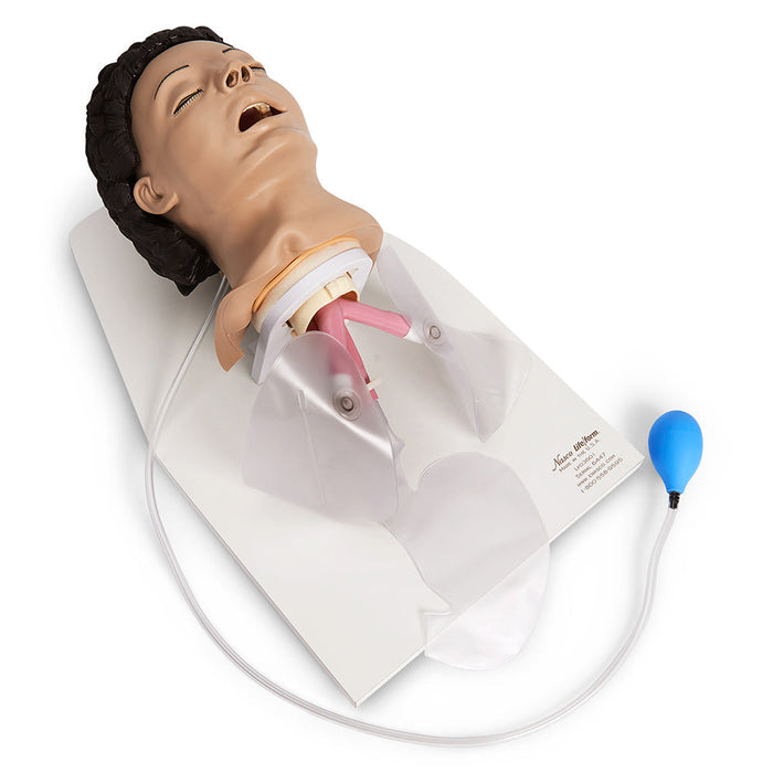 Airway Mgt Trainer On Stnd - Nasco LF03601