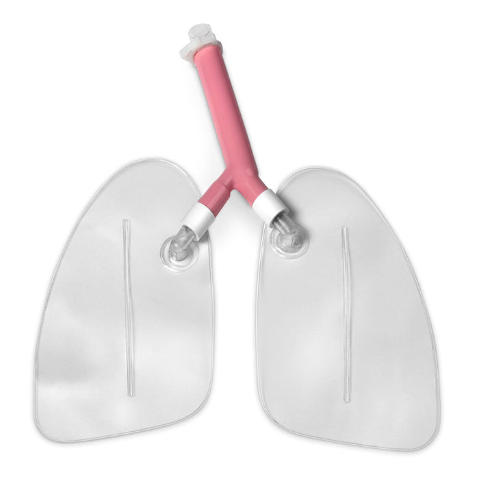Rep Kit InTubation Lungs - Nasco LF03605
