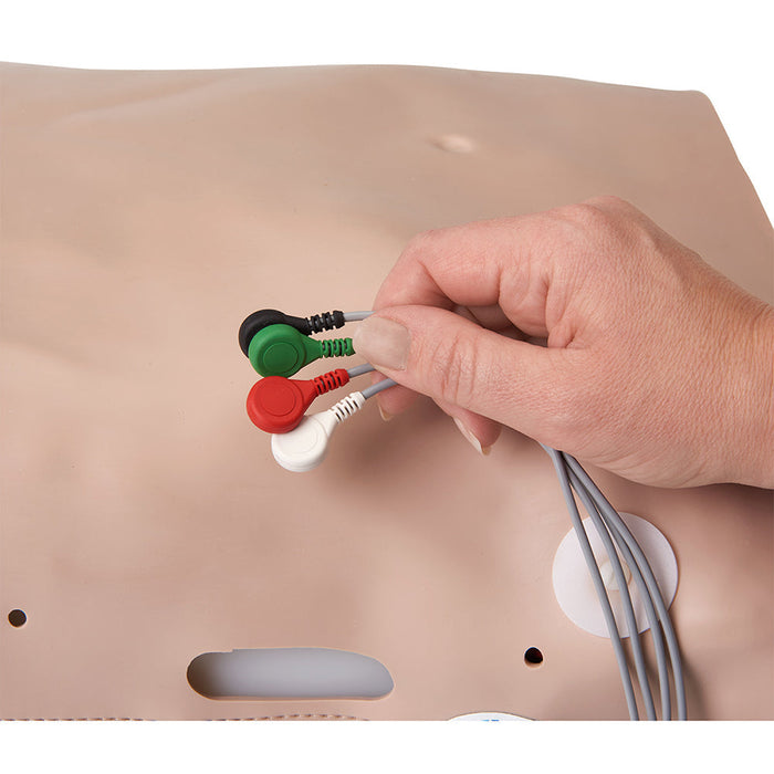 Defibrillation Chest Skin - Nasco LF03652