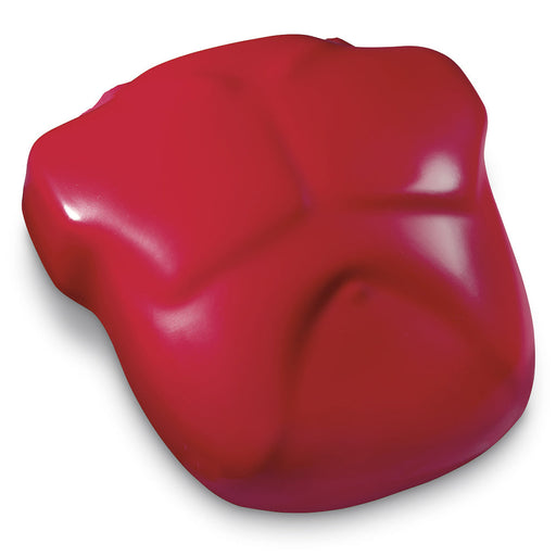 Chest W/Foam Cylndr/B Budd - Nasco LF03690