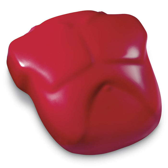 Chest W/Foam Cylndr/B Budd - Nasco LF03690