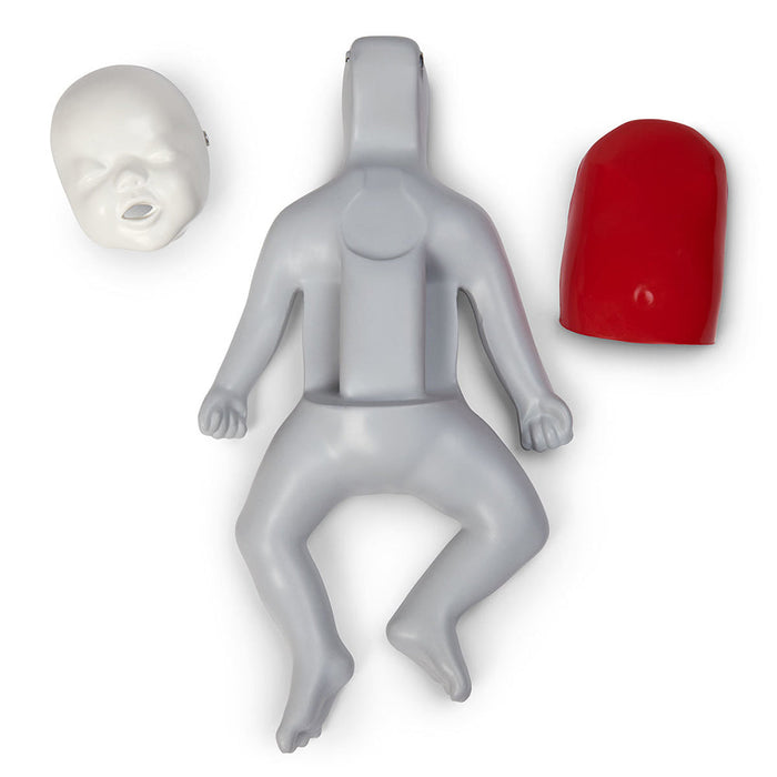 Manikin Baby Buddy 1O-Pk - Nasco LF03722