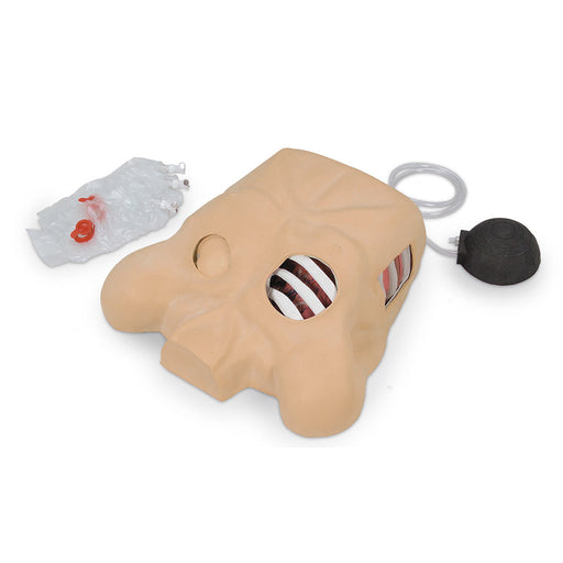 Chest Tube Manikin - Nasco LF03770