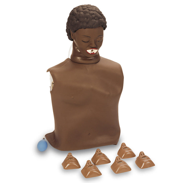 Torso Basic Molded Hair Dk - Nasco LF03816