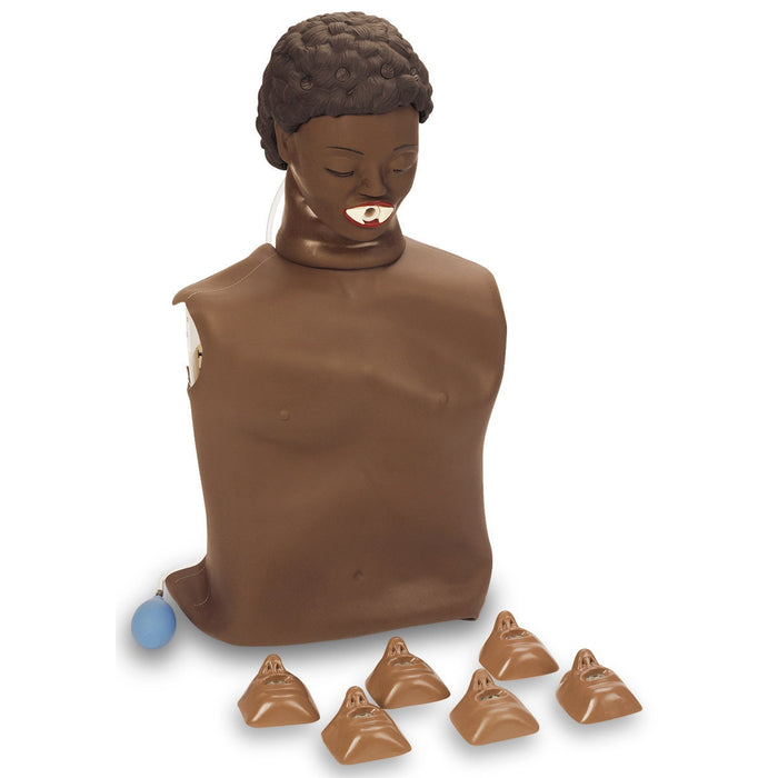 Cparlene Torso Dk W/Hrtsen - Nasco LF03999