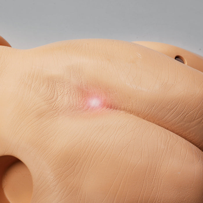 Keri Auscultation Manikin - Nasco LF04023