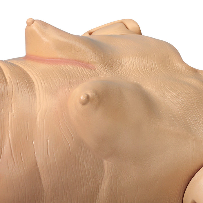 Keri Auscultation Manikin - Nasco LF04023